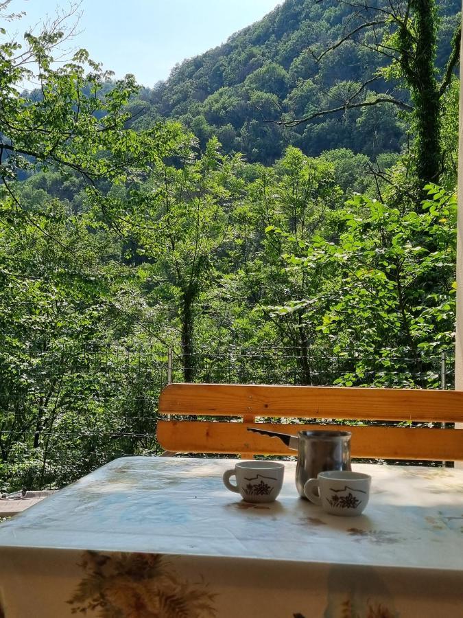 Glamping House ˇvitaˇ 톨민 외부 사진